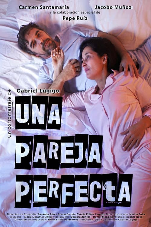 Постер: Una pareja perfecta