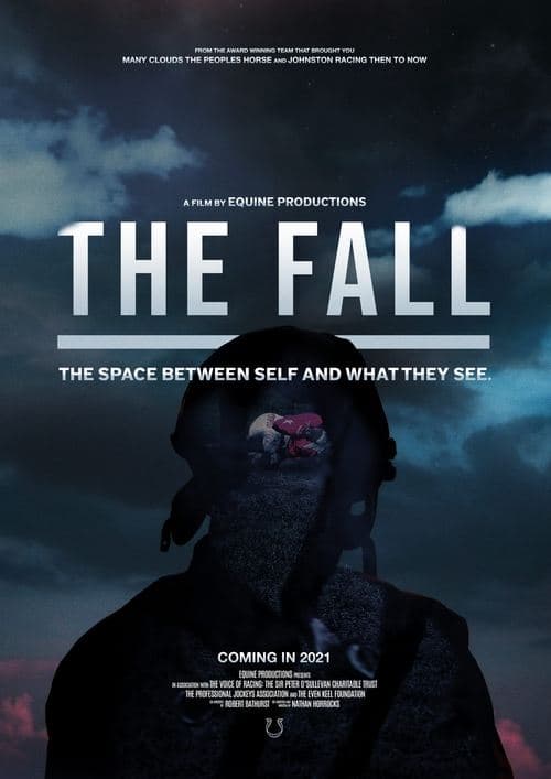 Постер: The Fall