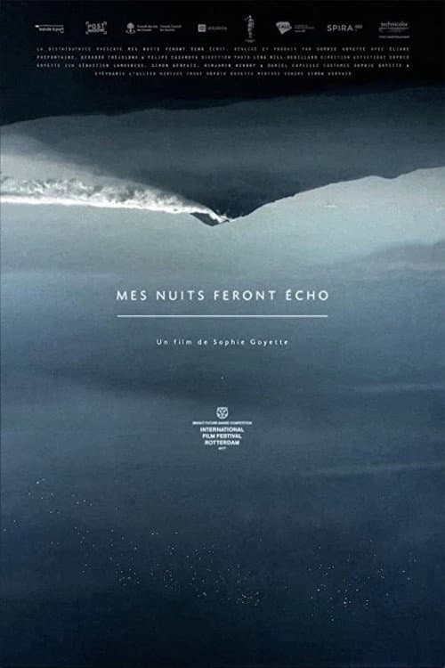 Постер: Mes nuits feront écho