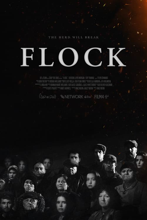 Постер: Flock