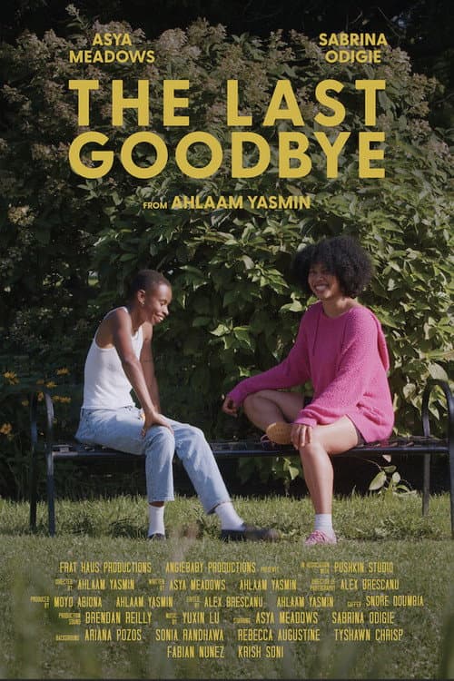 Постер: The Last Goodbye