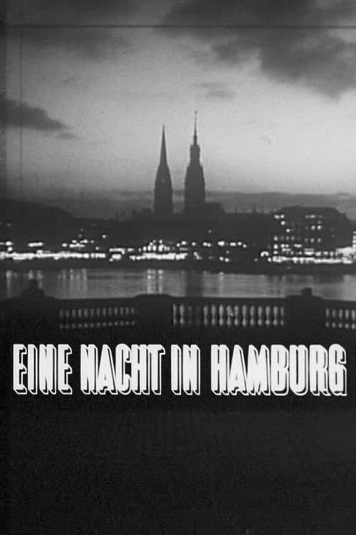 Постер: Eine Nacht in Hamburg