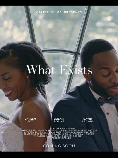 Постер: What Exists