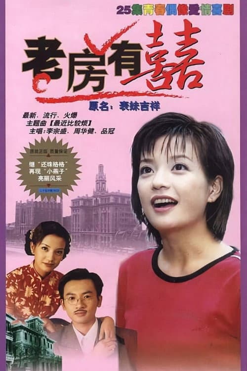Постер: 老房有喜