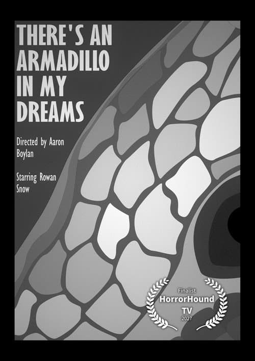 Постер: There's An Armadillo In My Dreams