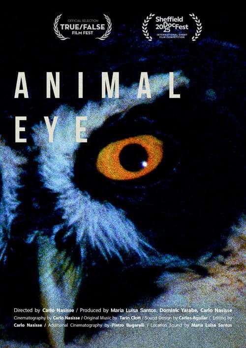 Постер: Animal Eye