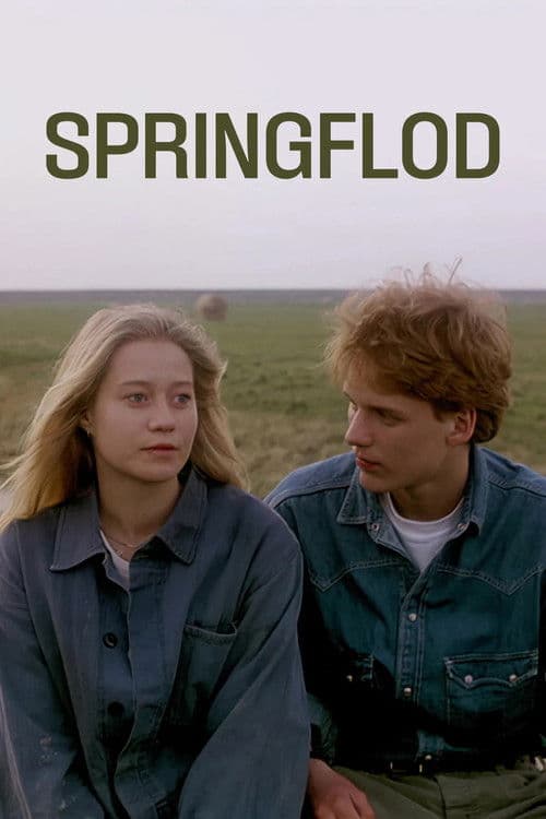 Постер: Springflod