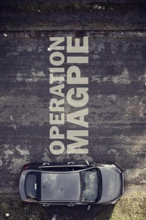 Постер: Operation Magpie