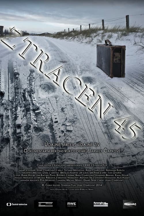 Постер: Ztracen 45