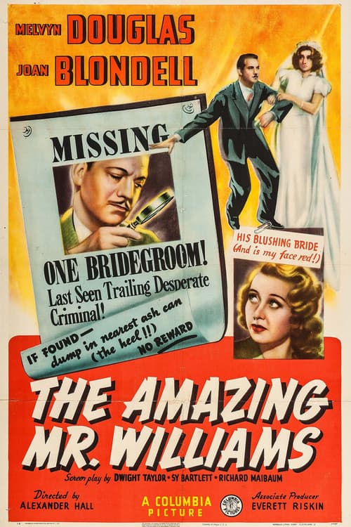 Постер: The Amazing Mr. Williams