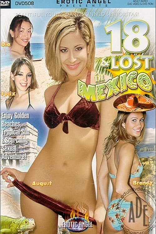 Постер: 18 and Lost in Mexico