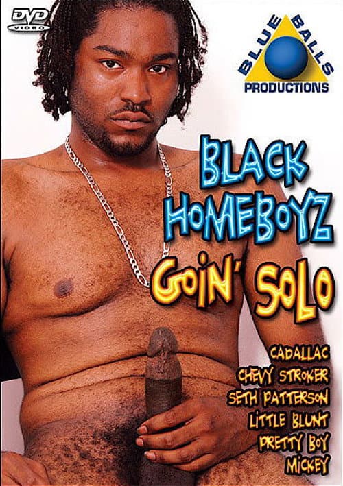 Постер: Black Homeboyz Goin Solo