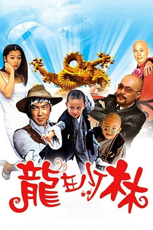 Постер: 龙在少林