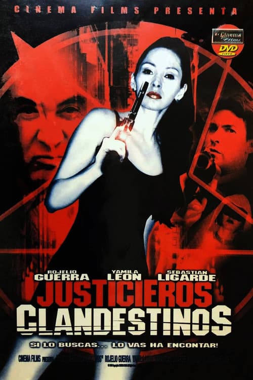 Постер: Justicieros clandestinos