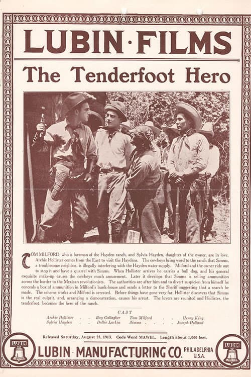 Постер: The Tenderfoot Hero