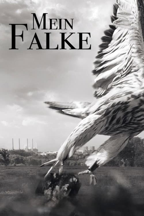Постер: Mein Falke