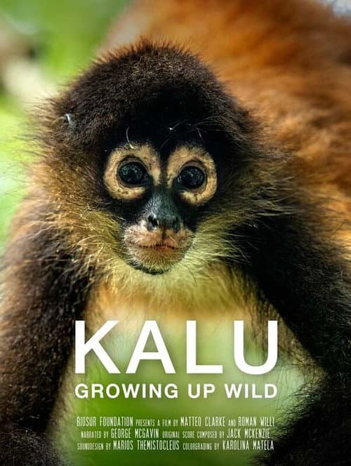 Постер: Kalu: Creciendo Salvaje