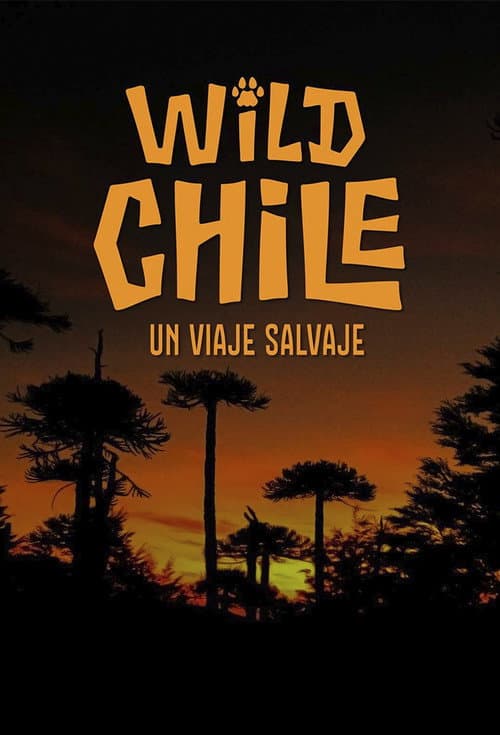 Постер: Wild Chile: Un viaje salvaje