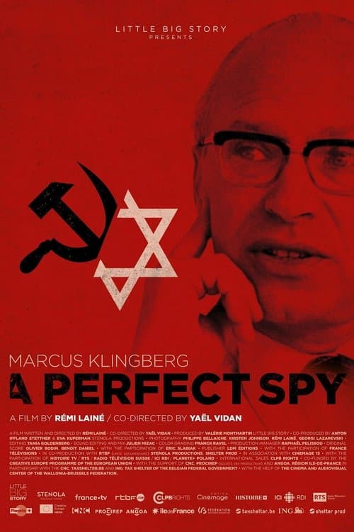 Постер: Marcus Klingberg, un pur espion