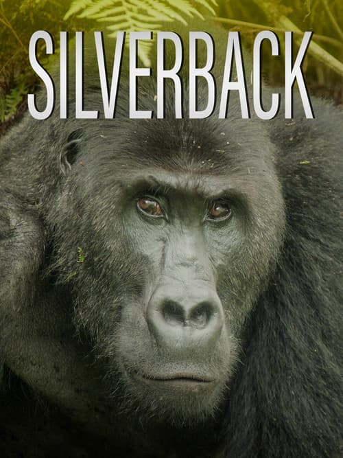 Постер: Silverback