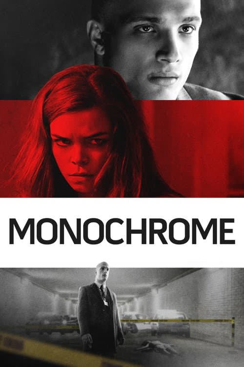 Постер: Монохром