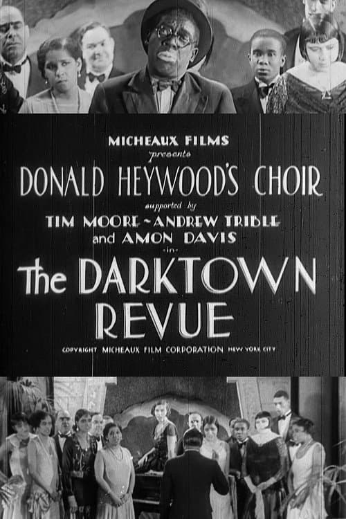 Постер: The Darktown Revue