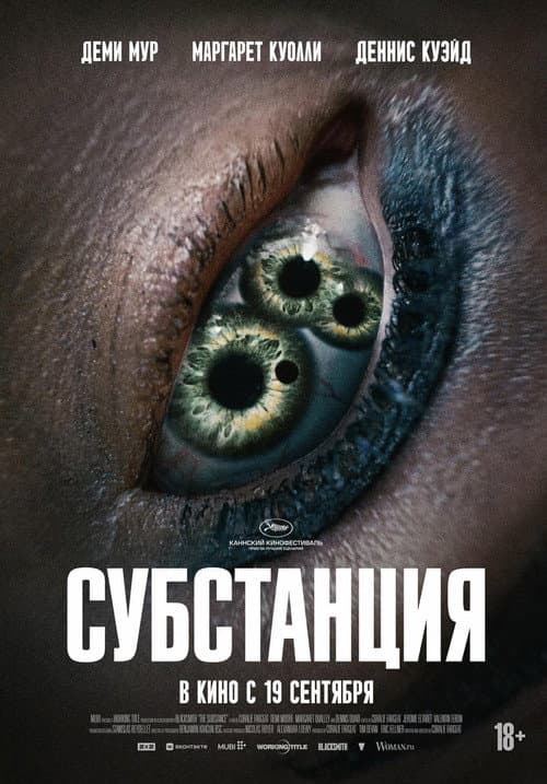 Кадр 12