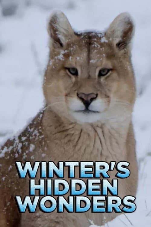 Постер: Winter's Hidden Wonders