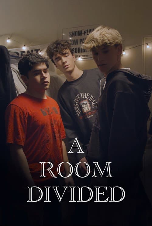 Постер: A Room Divided
