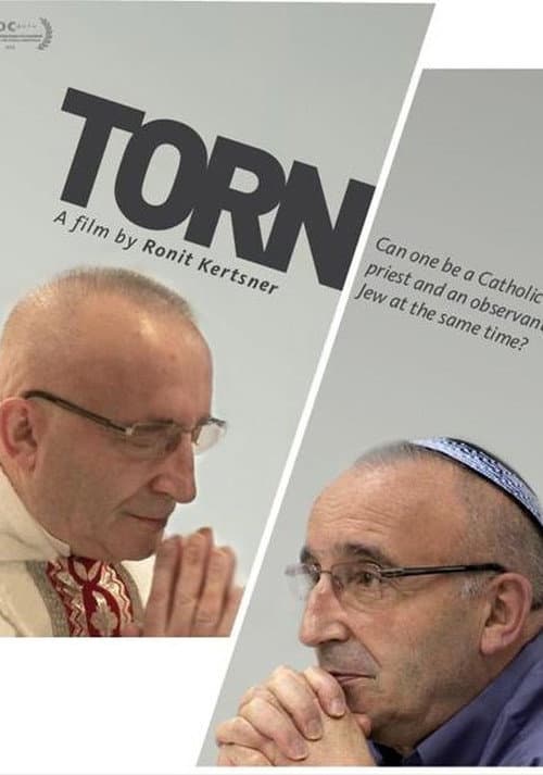 Постер: קרוע