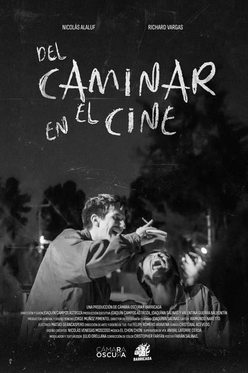 Постер: Del Caminar en el Cine