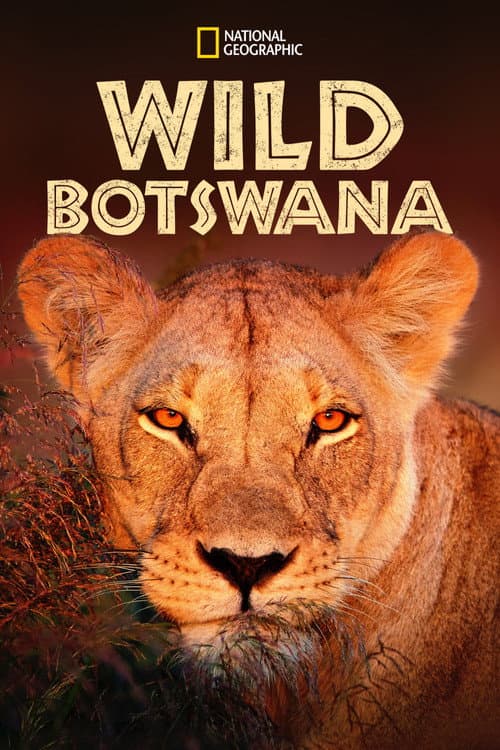 Постер: Wild Botswana