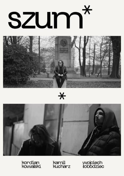 Постер: szum