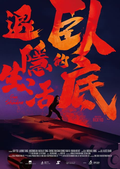 Постер: 臥底的退隱生活