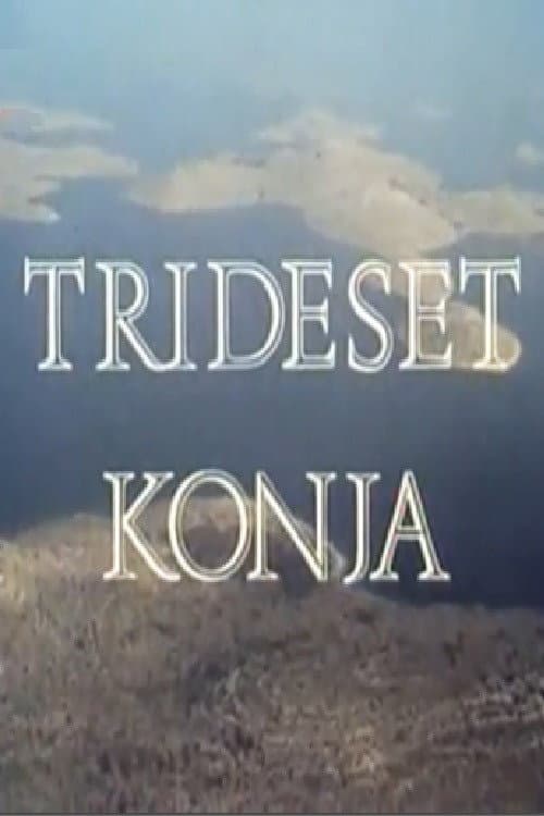 Постер: Trideset konja