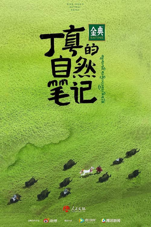 Постер: 丁真的自然笔记