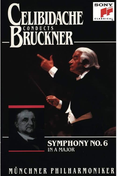 Постер: Bruckner - Symphony No. 6 (Sergiu Celibidache, live at Philharmonie am Gasteig, Munich)