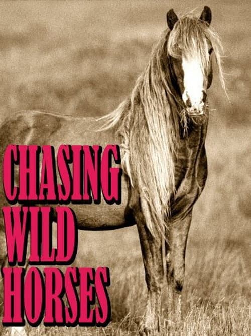 Постер: Chasing Wild Horses