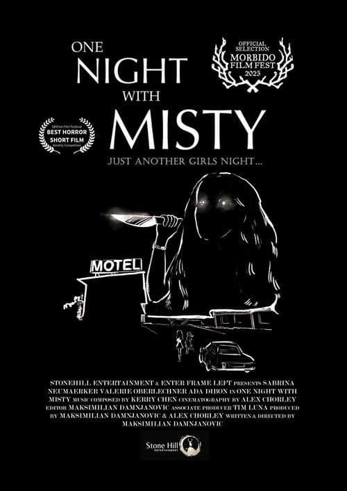 Постер: One Night with Misty