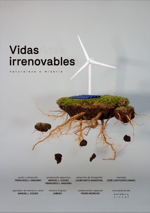Постер: Vidas Irrenovables