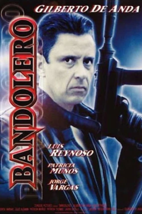 Постер: Bandolero