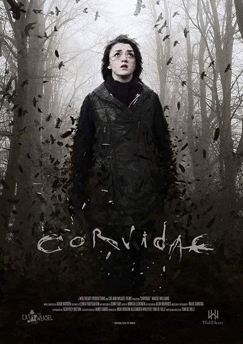 Постер: Corvidae