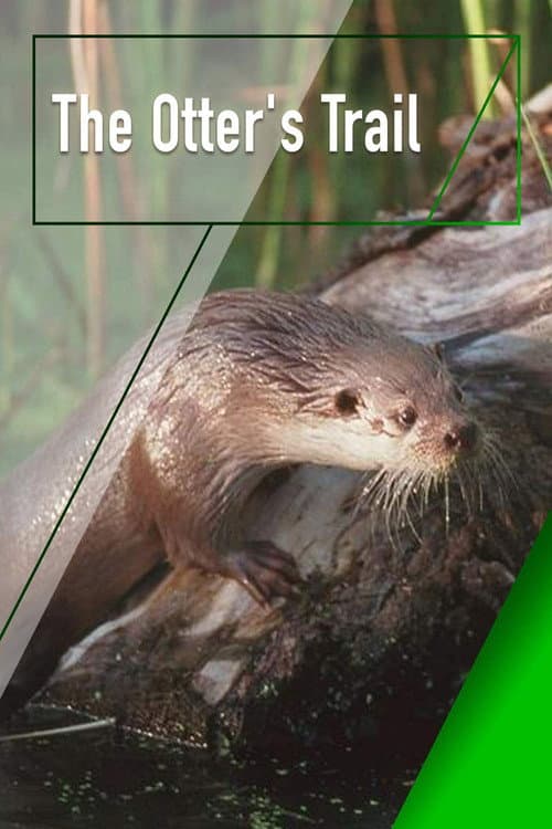 Постер: The Otter's Trail