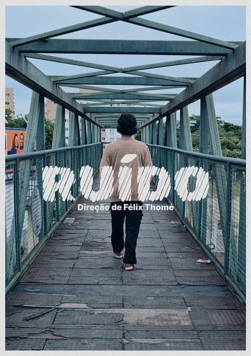 Постер: Ruído