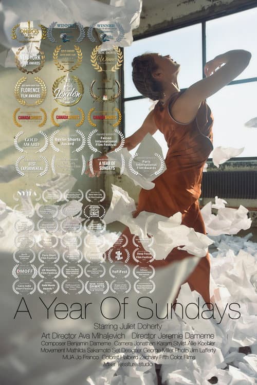 Постер: A Year of Sundays