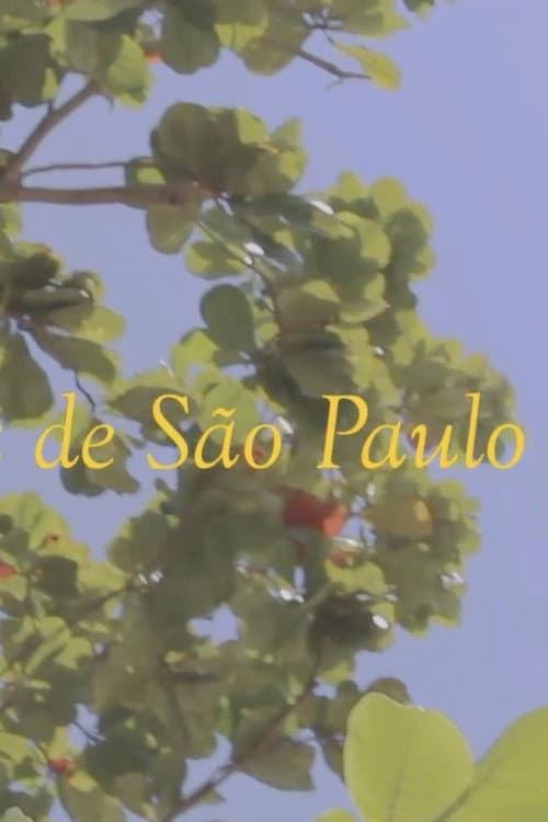 Постер: Notícias de São Paulo