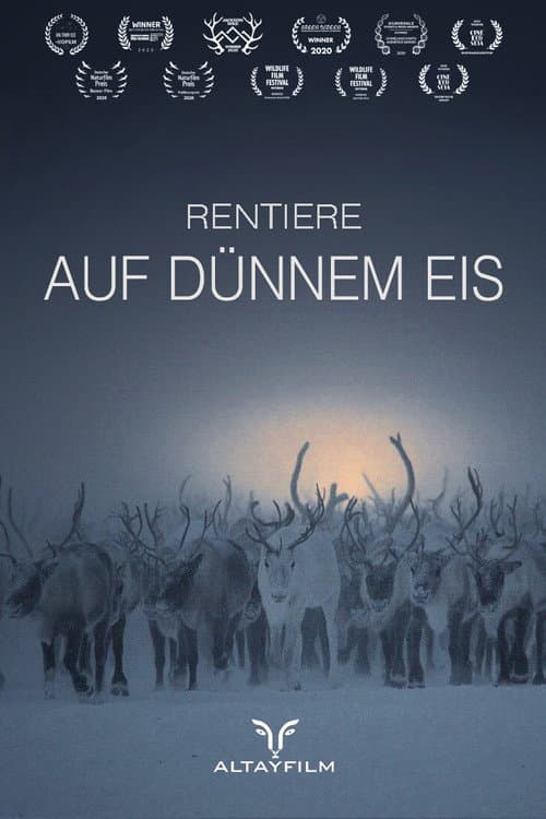 Постер: Rentiere auf dünnem Eis