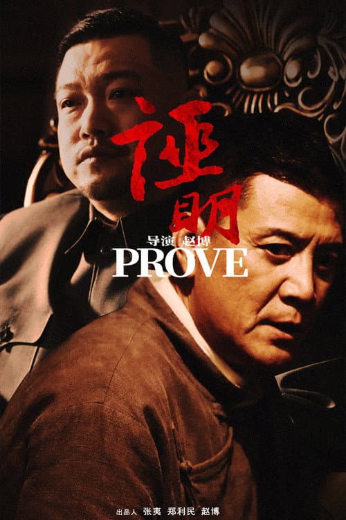 Постер: 证明