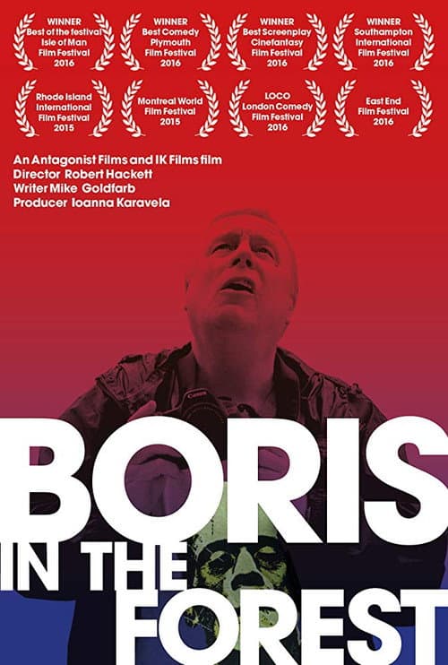 Постер: Boris in the Forest