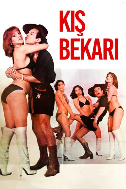 Постер: Kış Bekarı